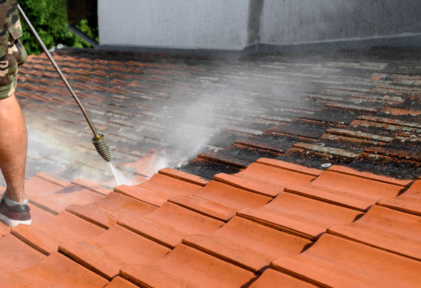 Best Pressure Washing Near Me  in Deltona, FL